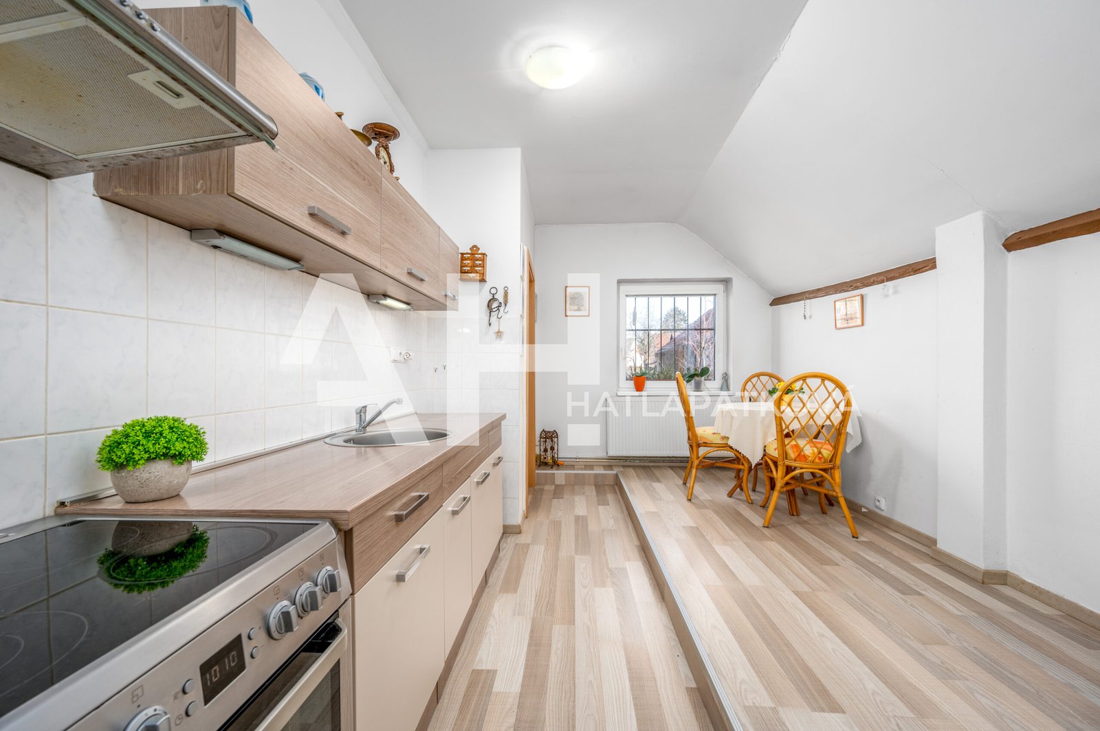 byt 1+1 - kuchyně I