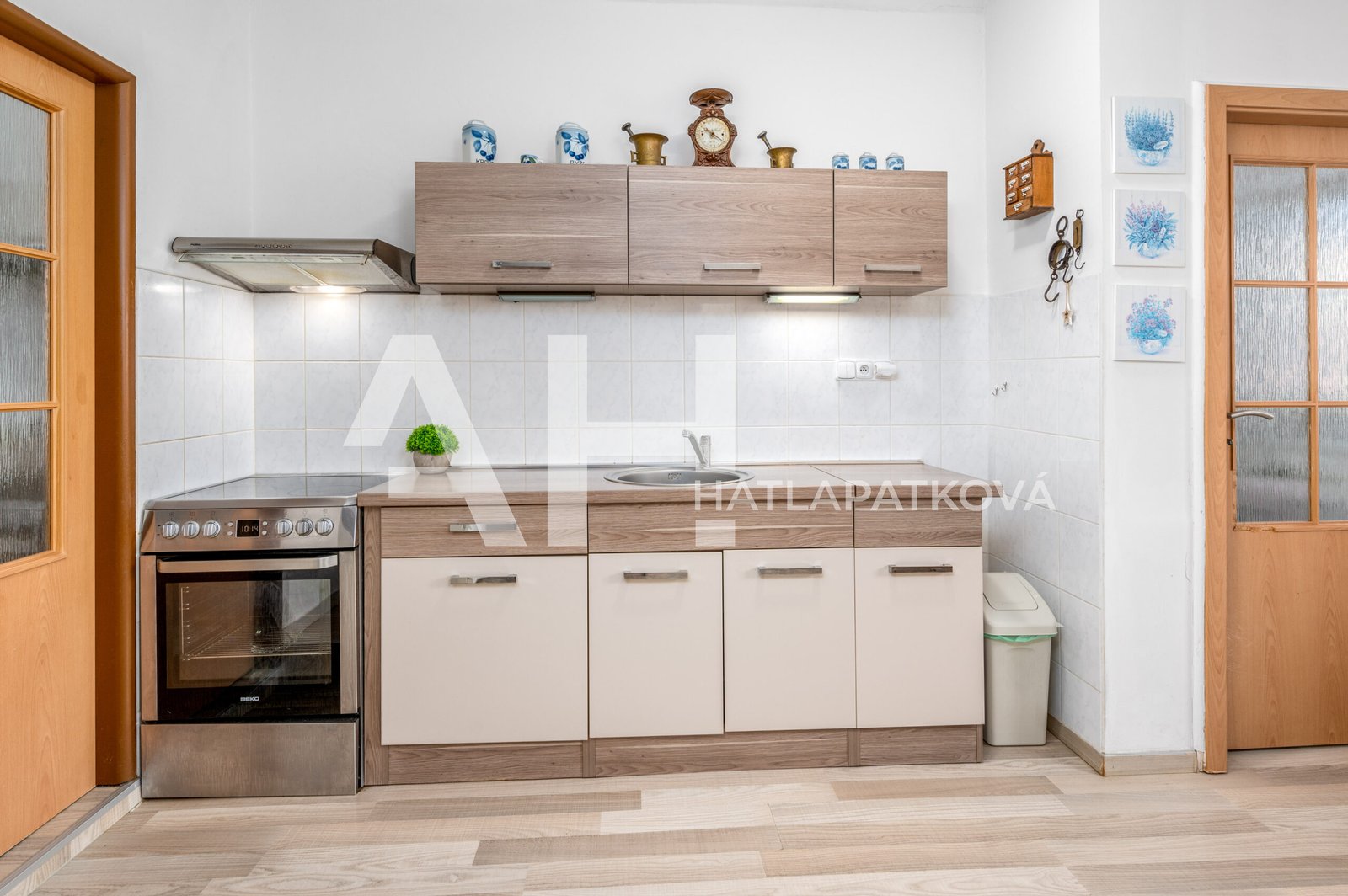 byt 1+1 - kuchyně III