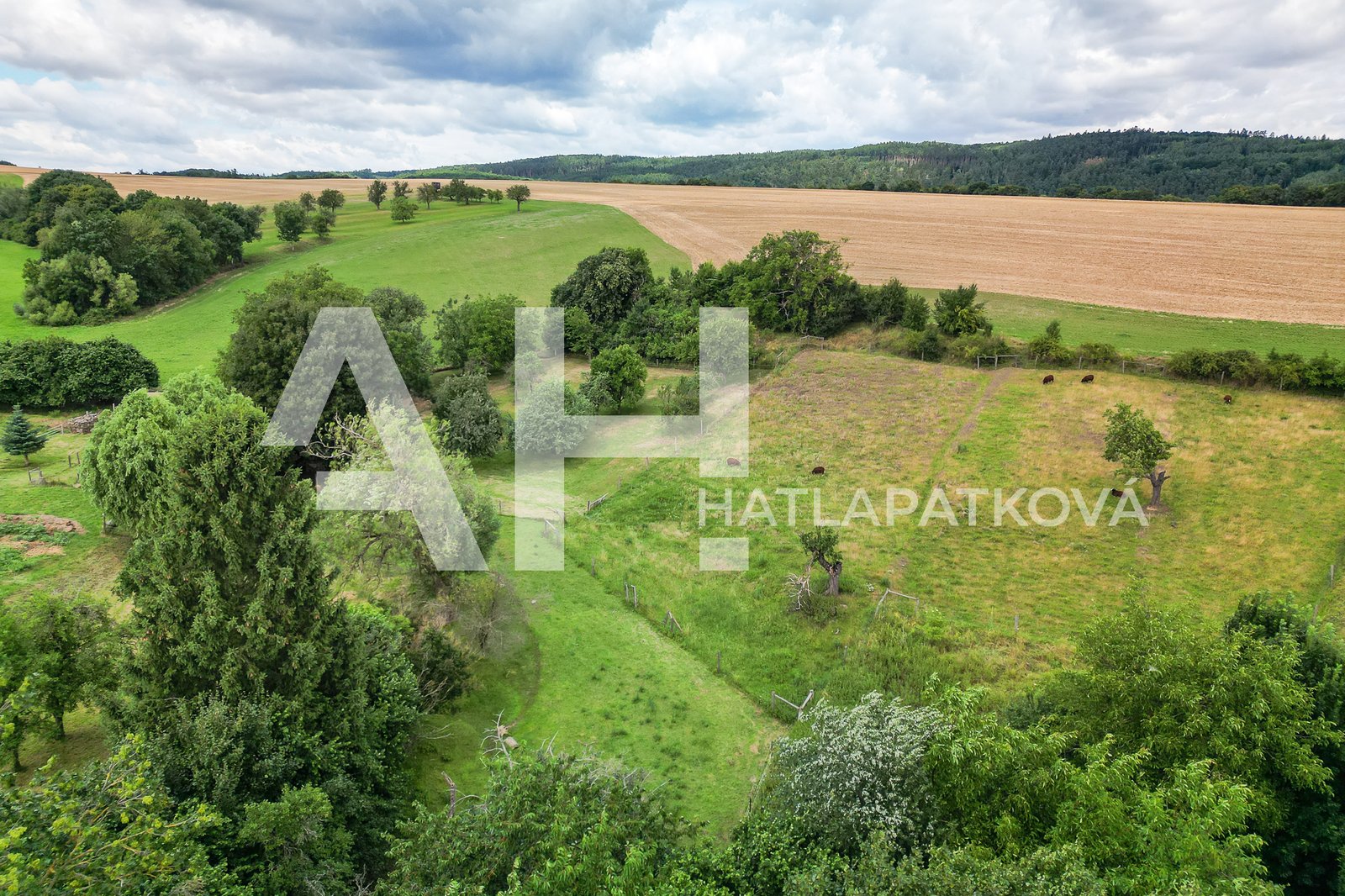 18_DJI_0047_FoceniBytu.cz