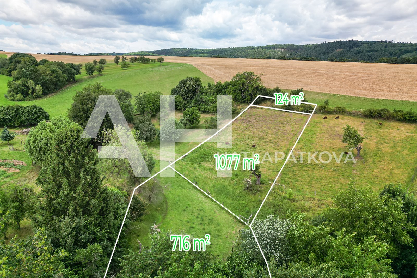 DJI_0047-Edit_re3_FoceniBytu.cz