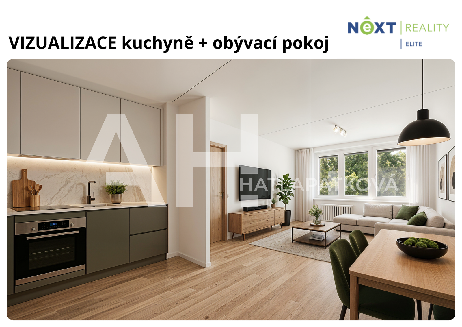 Vizualizace